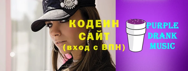 молекула духа Киреевск