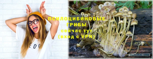 молекула духа Киреевск