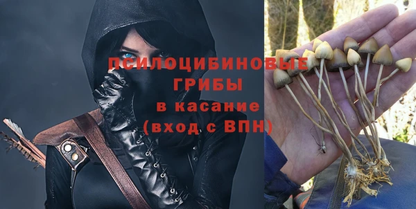 молекула духа Киреевск
