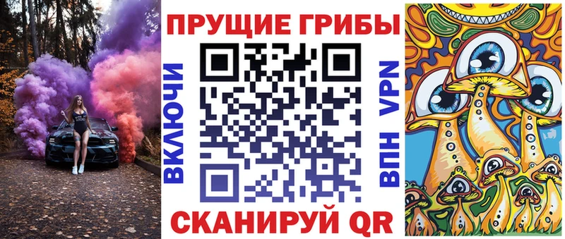 Купить  Новый Уренгой  Псилоцибиновые грибы MAGIC MUSHROOMS 